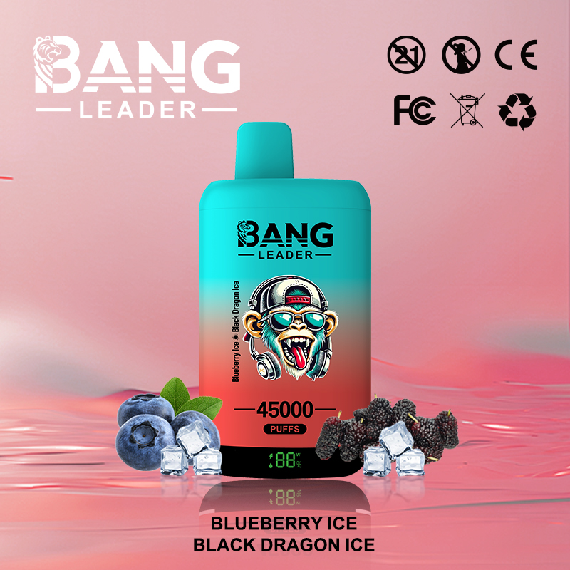 Bang Leader 45000 45K Puffs 2% 3% 5% Nicotine Double Taste LED Display Disposable Vape - Image 27