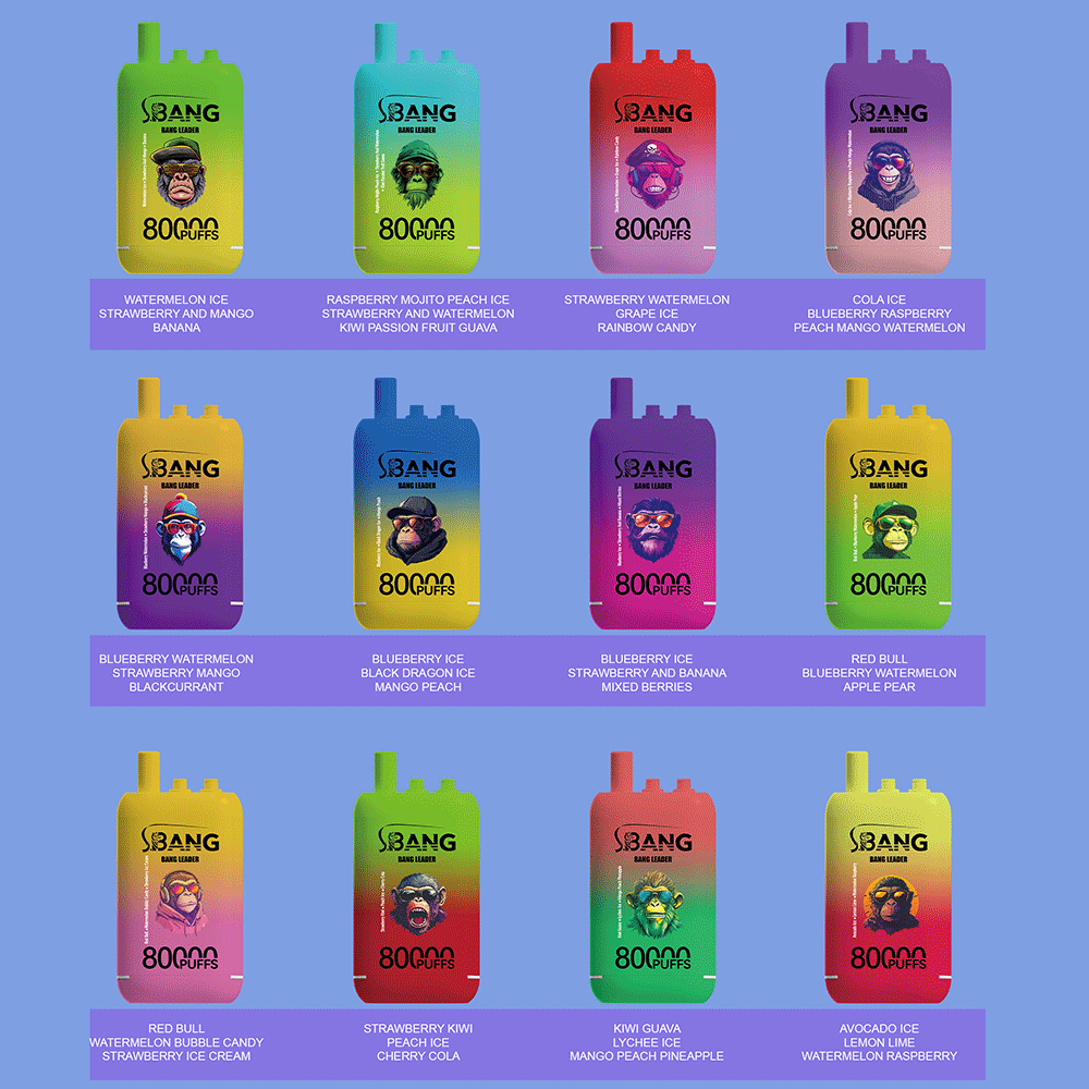 Bang Leader 80000 80K Puffs 3 in 1 Flavors Newest Original Rechargeable Disposable Vape - Image 3
