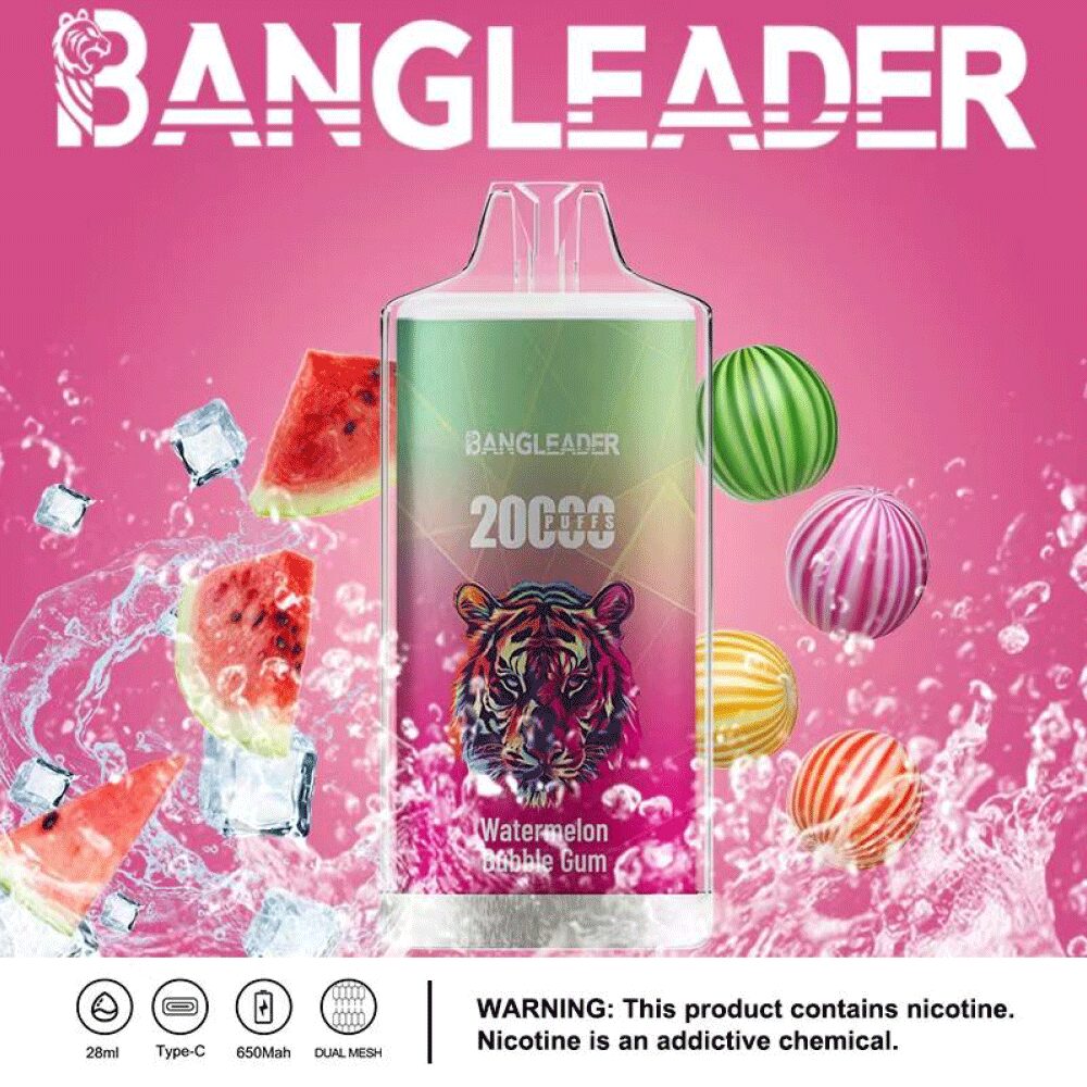 Bang Leader 20000 20K Puffs Newest Product Disposable Vape - Image 5
