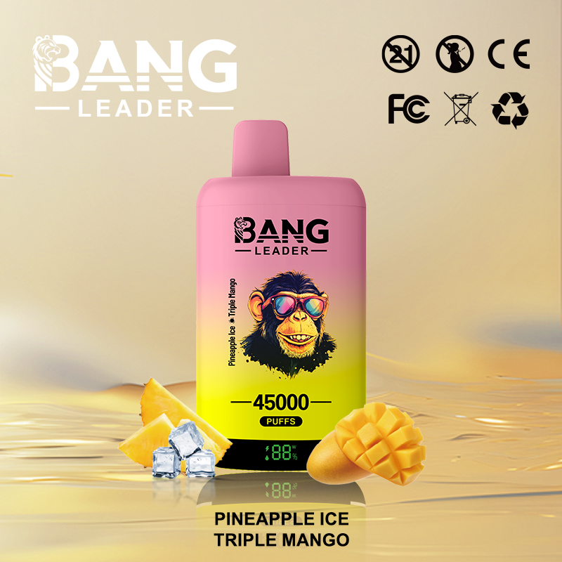 Bang Leader 45000 45K Puffs 2% 3% 5% Nicotine Double Taste LED Display Disposable Vape - Image 17