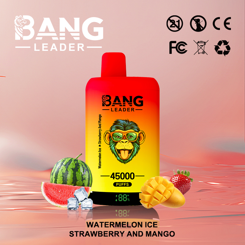 Bang Leader 45000 45K Puffs 2% 3% 5% Nicotine Double Taste LED Display Disposable Vape - Image 5