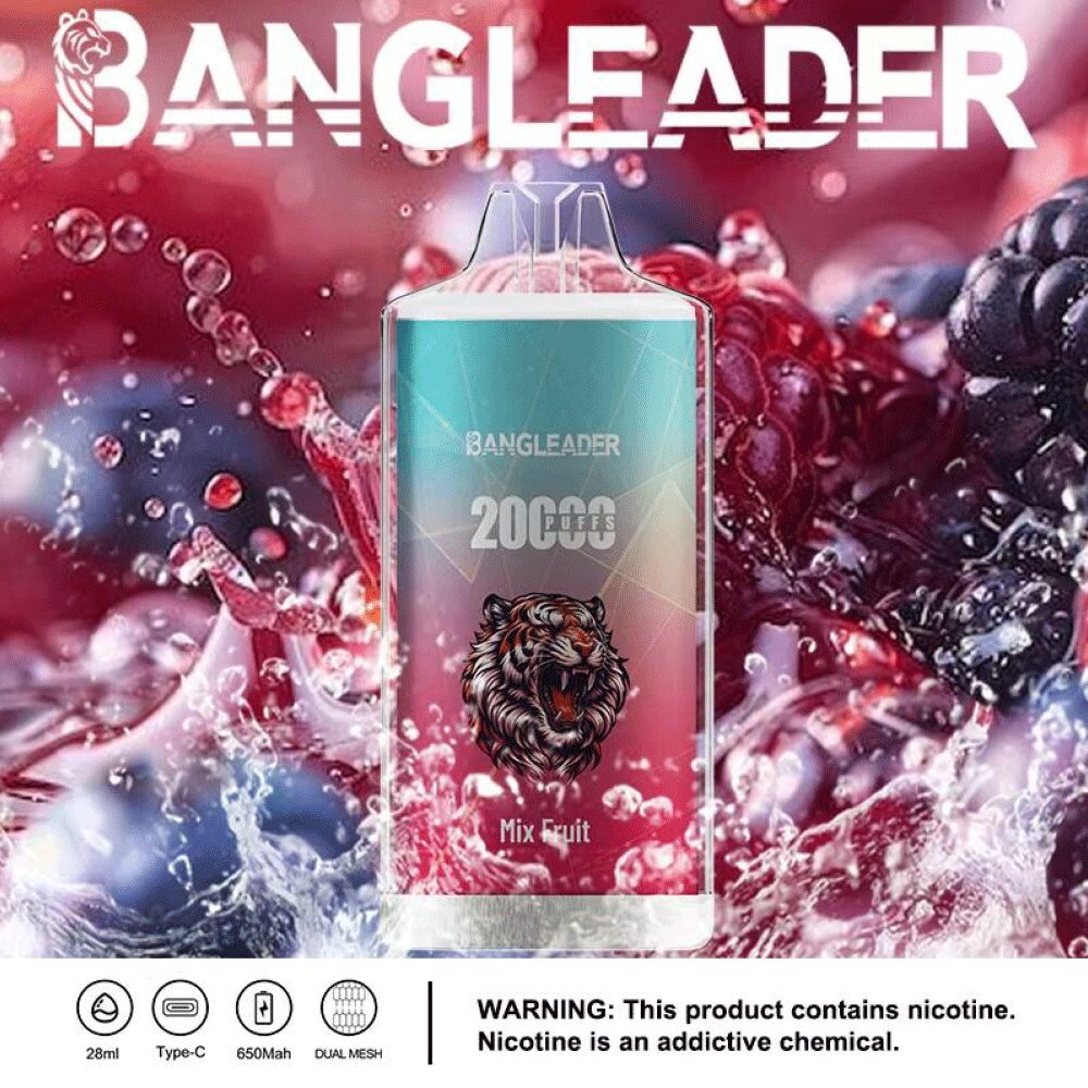 Bang Leader 20000 20K Puffs Newest Product Disposable Vape - Image 15