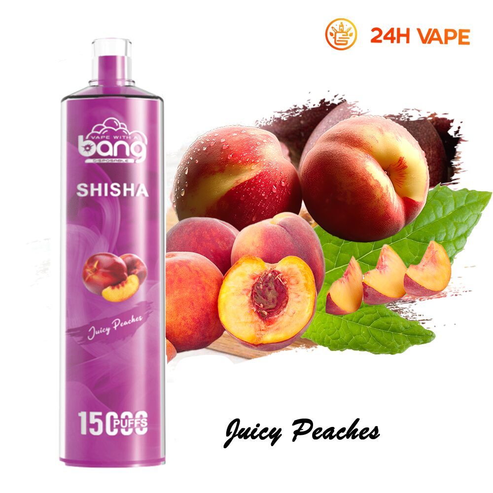 Bang SHISHA 15000 Puffs Direct To Lung Disposable Electronic Cigarette New Vape Pen - Image 23