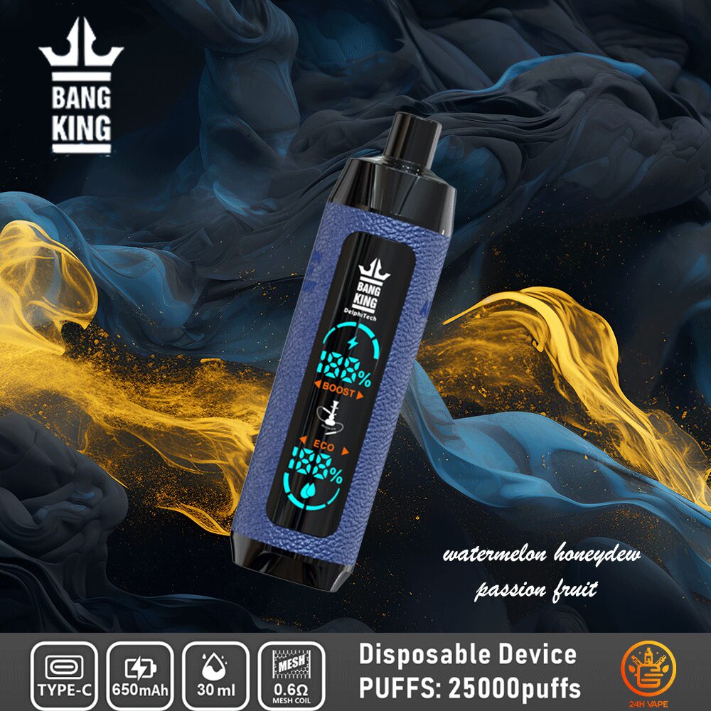 Bang King Shisha 25000 25K Puffs Newest LED Display Leather Disposable Vape Pen - Image 3