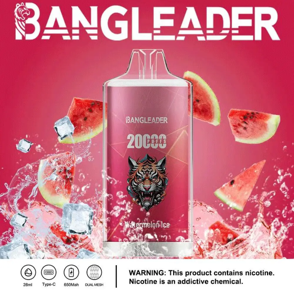 Bang Leader 20000 20K Puffs Newest Product Disposable Vape - Image 4
