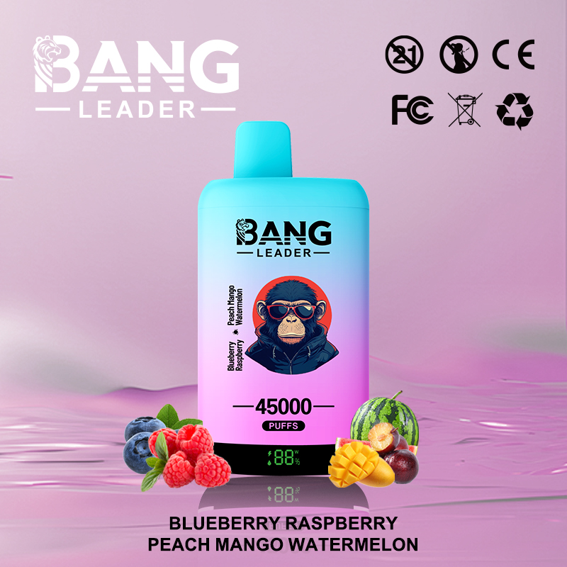 Bang Leader 45000 45K Puffs 2% 3% 5% Nicotine Double Taste LED Display Disposable Vape - Image 23